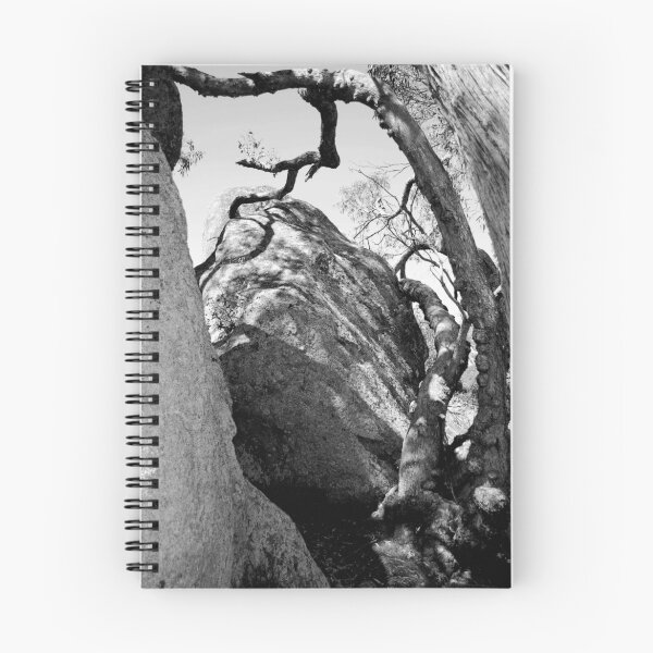 Item preview, In A Shadowy Grip : Rocks at Melville designed and sold by Lorraine McCarthy.