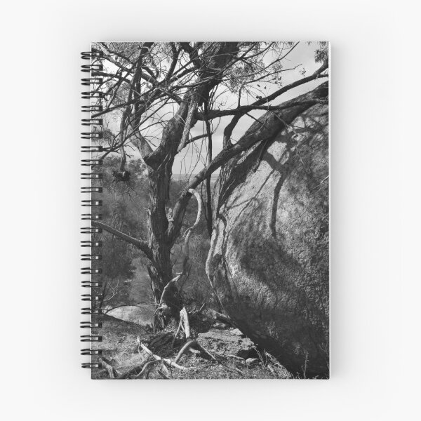 Item preview, Entrenched Living : Rocks at Melville designed and sold by Lorraine McCarthy.