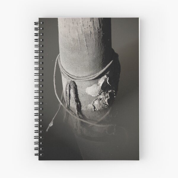 Item preview, PYLON NO2 designed and sold by Julieholl.
