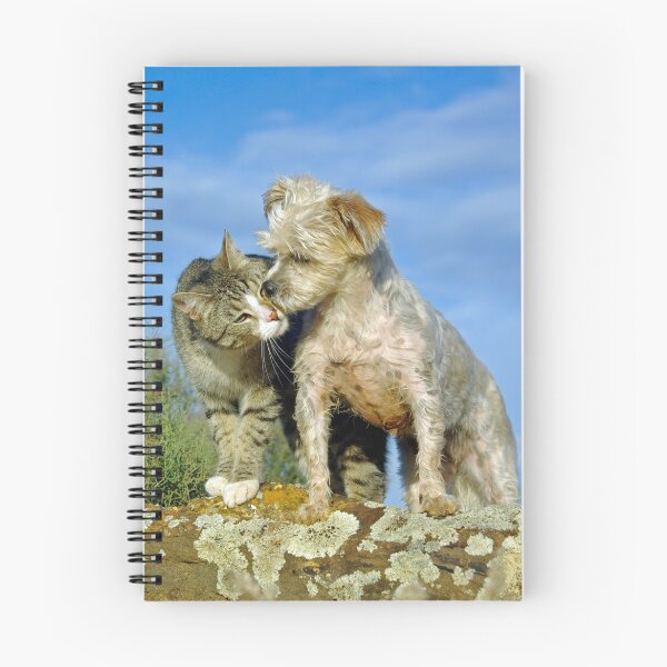 Item preview, BEST BUDDIES designed and sold by Helen Akerstrom Photography.