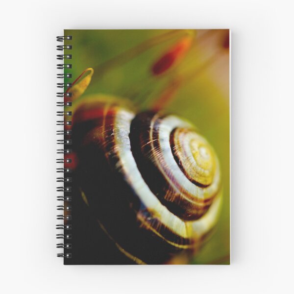 Aperçu de l'œuvre Snail II créée et vendue par Minna  Waring.