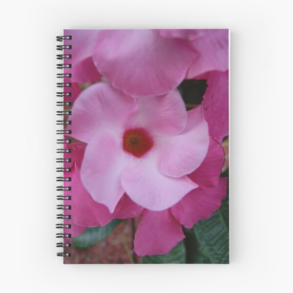 Artikelvorschau, beautiful pink spiral flower entworfen und verkauft von rue2.