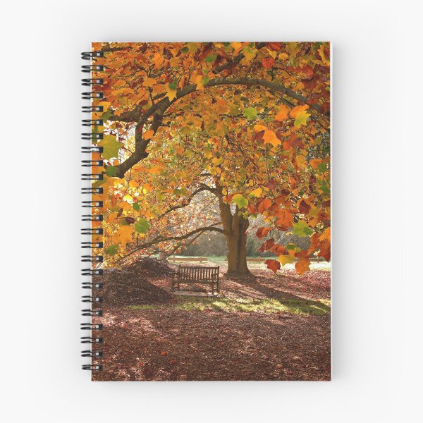 Item preview, Autumn serenity designed and sold by Tony Middleton.