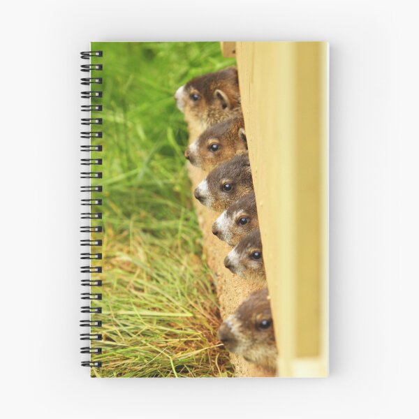 Item preview, Hey,hey!!We are watching you,,,, designed and sold by Gary Boudreau.