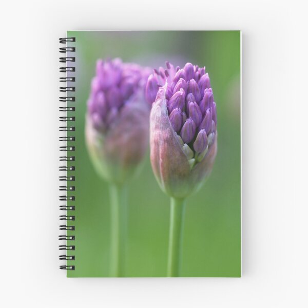 Item preview, Field Garlic designed and sold by jnmayer.