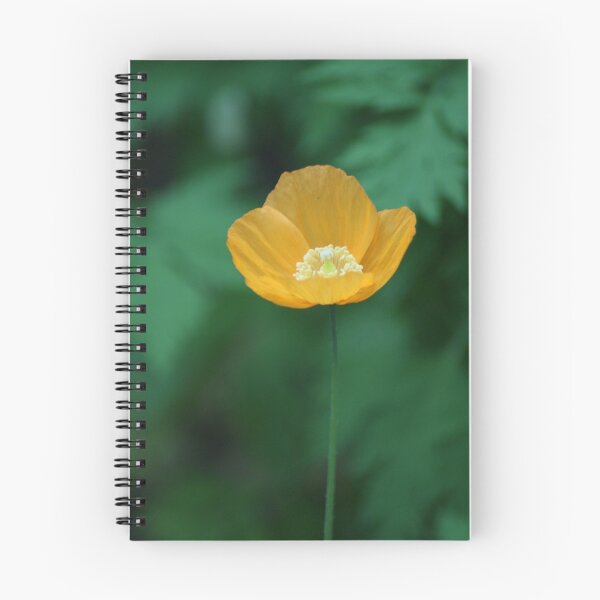 Item preview, Yellow Dainty of Summer! designed and sold by Sandra Cockayne.