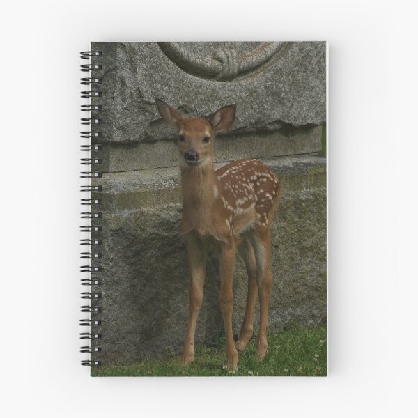 Item preview, cycle of life designed and sold by creativegenious.
