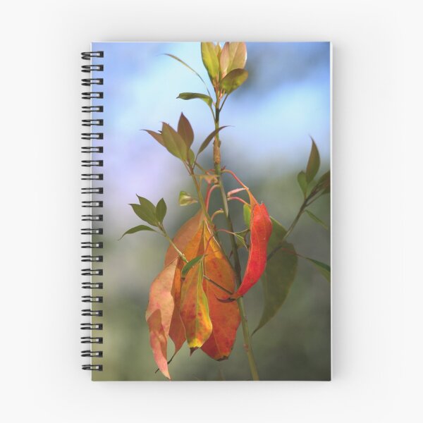 Item preview, Color Pallet designed and sold by zzsuzsa.