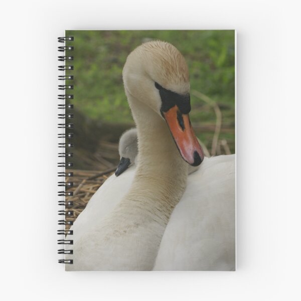 Item preview, Swan with baby on her back designed and sold by MendipBlue.