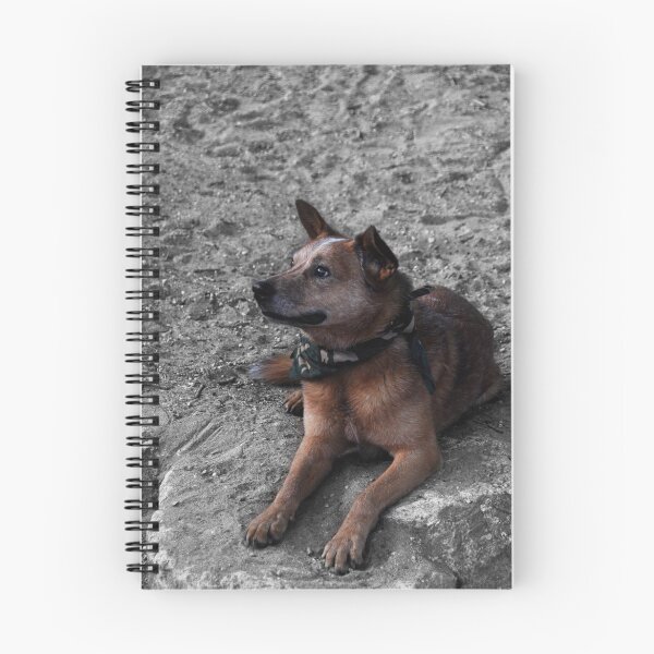 Item preview, On the rocks designed and sold by SamTheCowdog.