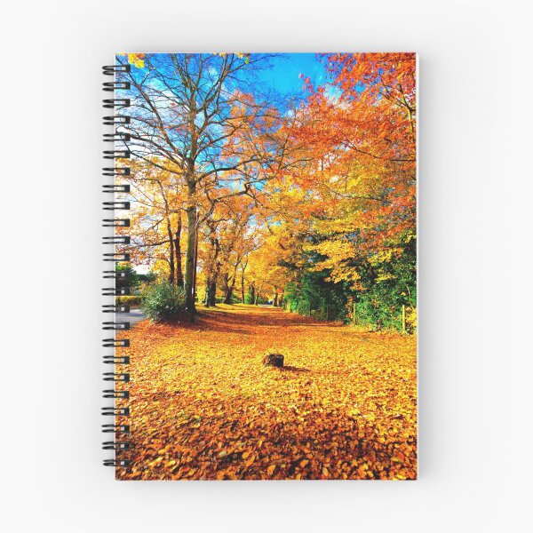 Item preview, Autumn Gold designed and sold by Darren Bailey LRPS.
