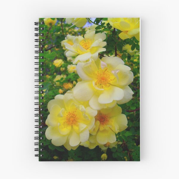 Item preview, 375x360 designed and sold by Jan Siemucha.