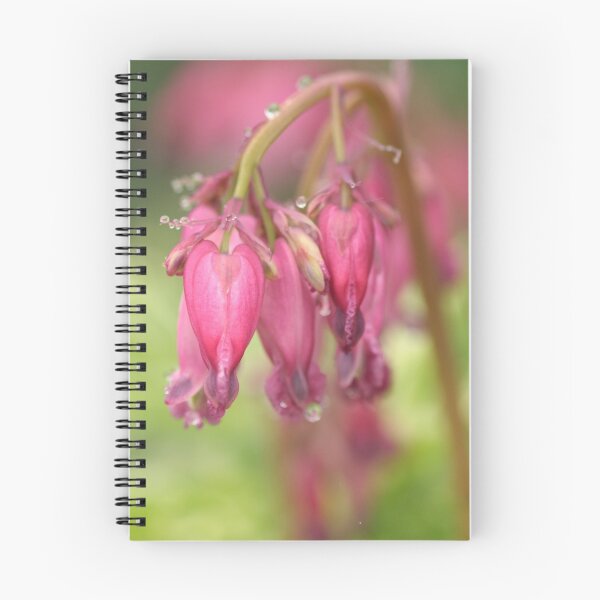 Item preview, Bleeding Hearts designed and sold by Debbie  Roberts.