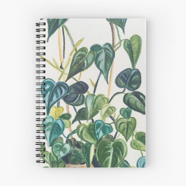 Item preview, Heart Leaf Philodendron designed and sold by Dominika Keller.