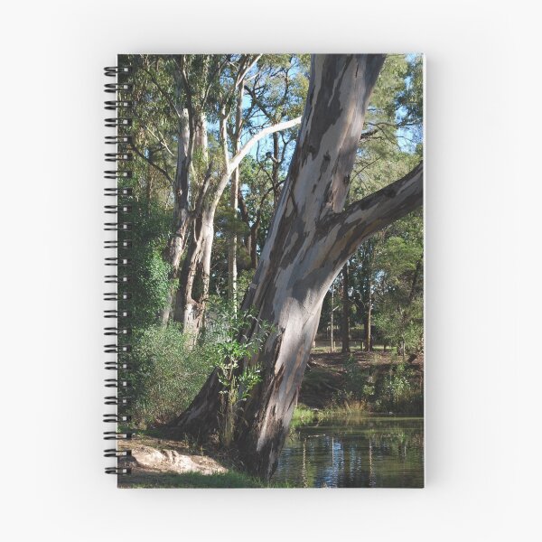 Item preview, Eucalyptus Tree designed and sold by Lorraine McCarthy.