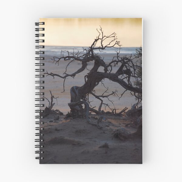 Item preview, Bonsai designed and sold by GcDePiazzi.