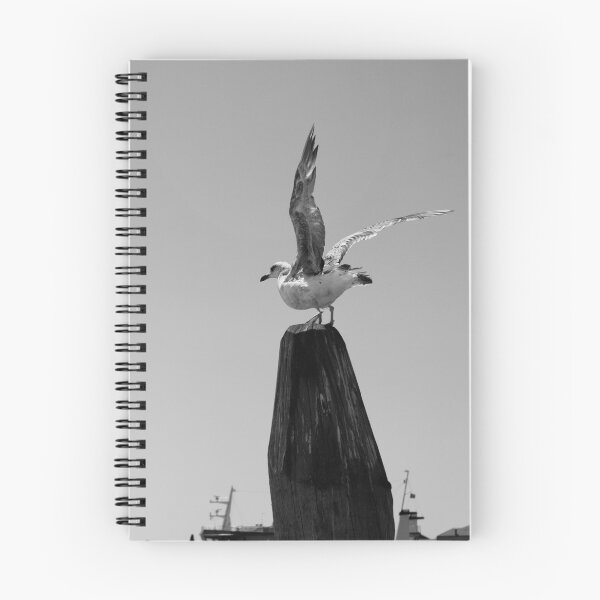 Artikelvorschau, Taking Flight entworfen und verkauft von Thomas Mundy.