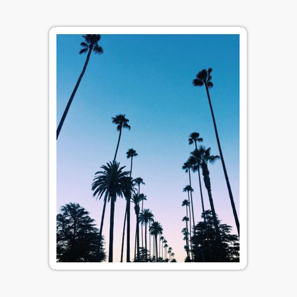 Item preview, Los Angeles Palm Trees designed and sold by talialif.