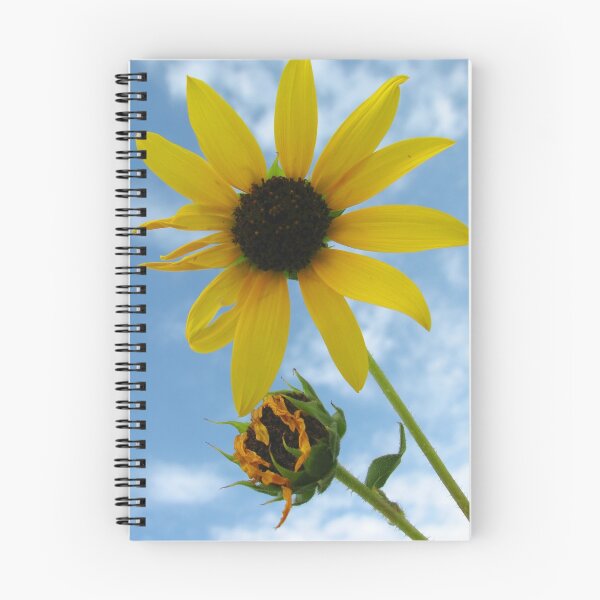 Item preview, Blooming, Wilting designed and sold by Maggie Woods.