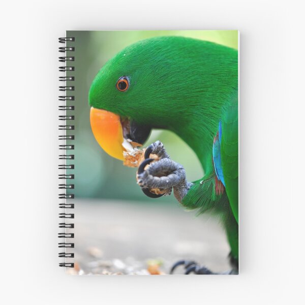 Item preview, Have a bite - Eclectus parrot designed and sold by Jenny Dean.