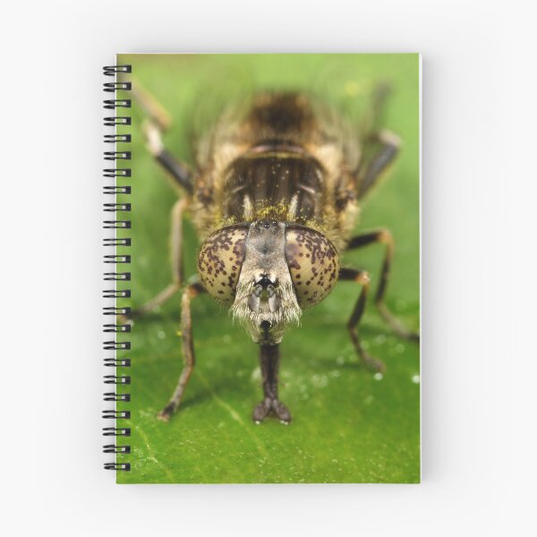 Item preview, rare hoverfly designed and sold by Scott Thompson.