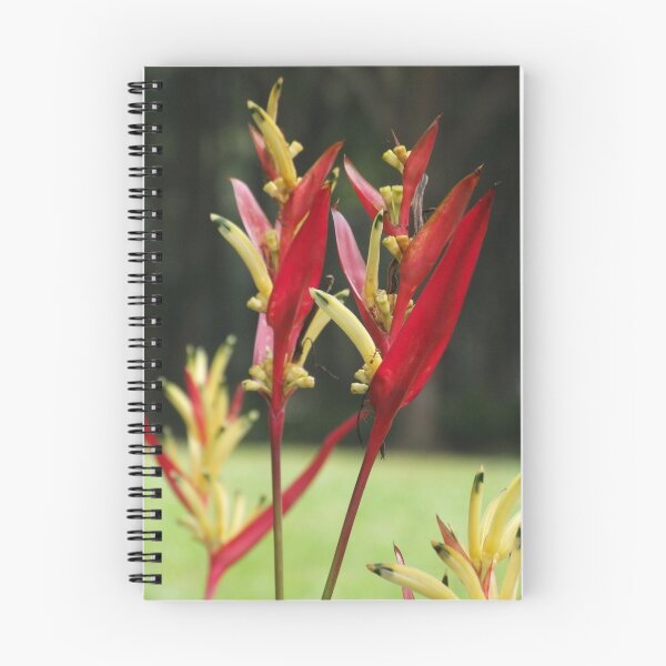 Item preview, Red Flower - Lake Garden, Kuala Lumpur designed and sold by BreeDanielle.