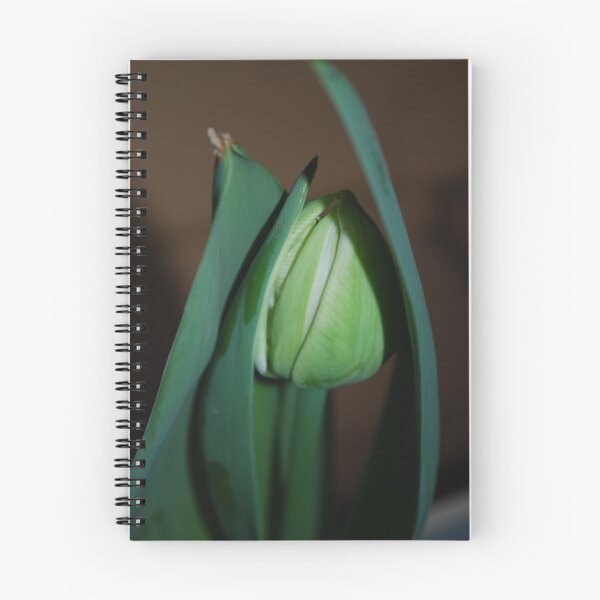 Item preview, Hiding Infancy designed and sold by Lozzar Flowers & Art.