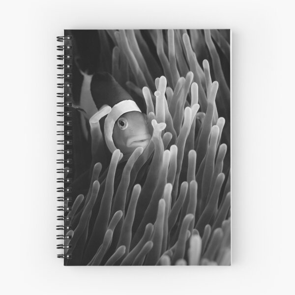 Item preview, My hiding place designed and sold by Stephen Colquitt.