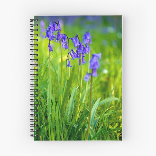 Item preview, Bluebells Close up designed and sold by Stewart Laker.