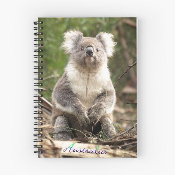Item preview, Koala - Otway Ranges, Victoria - Australia designed and sold by Bev Pascoe.