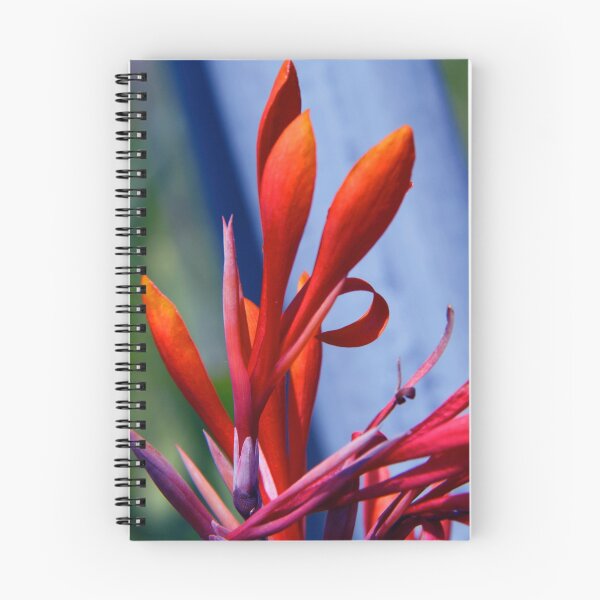 Item preview, Cana Blossom designed and sold by Jay Reed.