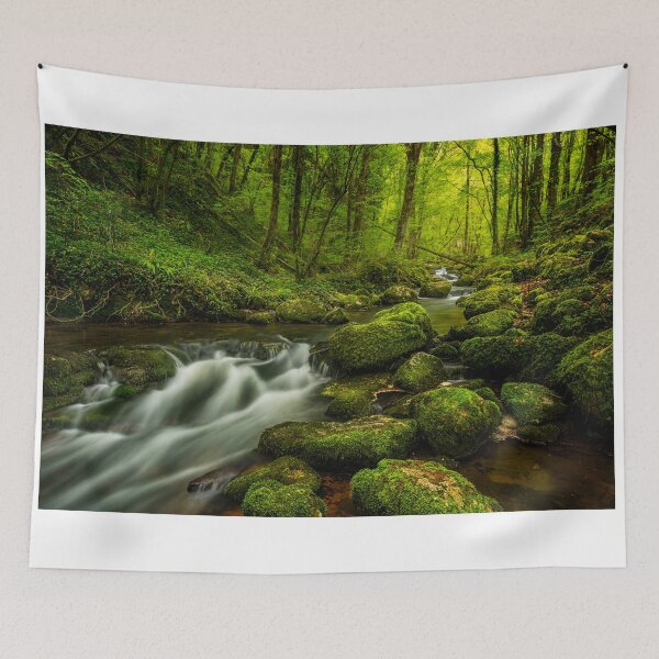 Item preview, Forest Zen designed and sold by TonyPriestley.