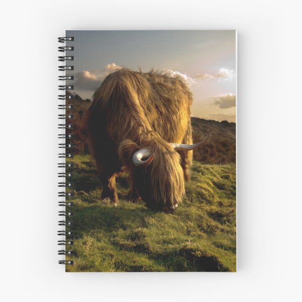 Item preview, Evening Grazing designed and sold by Jonnyfez.
