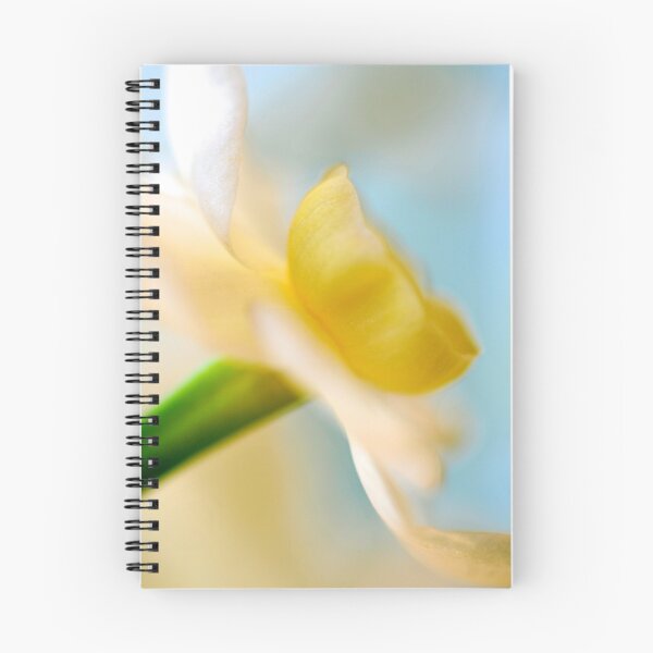 Item preview, Daffodil designed and sold by Extraordinary Light.