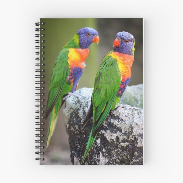Item preview, Lory Birds designed and sold by Paulette1021.