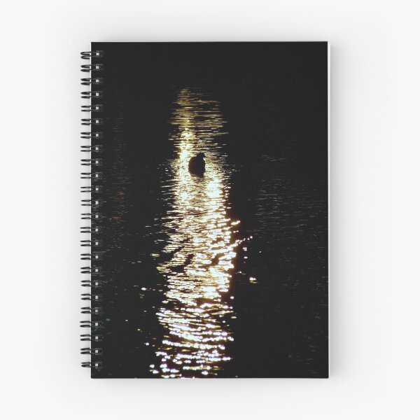 Item preview, In the line of light designed and sold by Paul Todd.