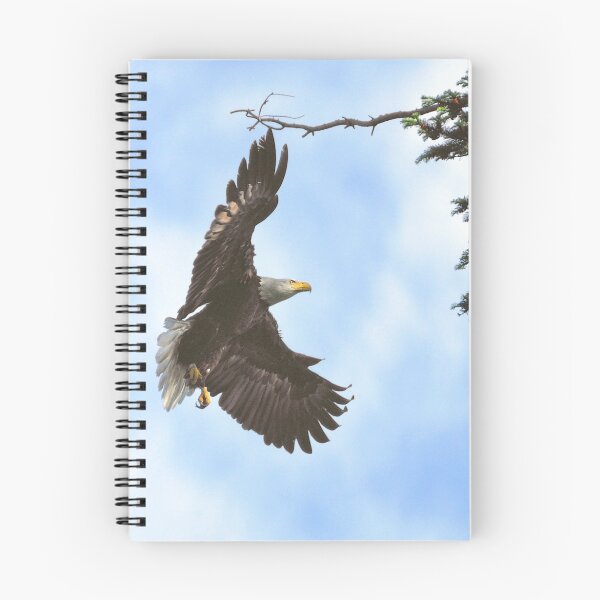 Item preview, Approach designed and sold by Carl Olsen.
