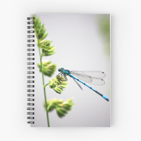 Item preview, Damselfly  designed and sold by jennimarshall.