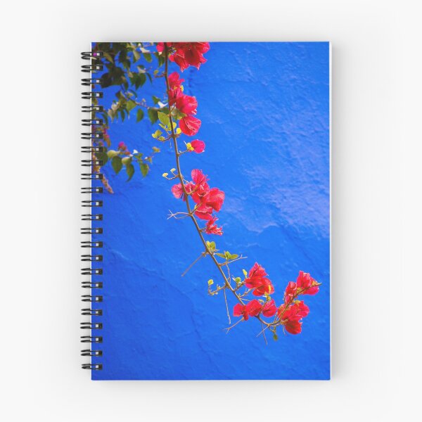 Aperçu de l'œuvre red flower on blue wall créée et vendue par filipmije.
