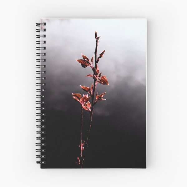 Aperçu de l'œuvre Fine Art : Simple : IR créée et vendue par Nick Bland.