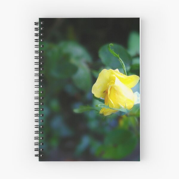 Item preview, Reach for Me Not designed and sold by Cupertino.