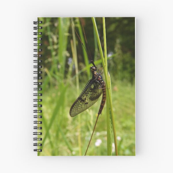 Item preview, The Aliens Have Landed! designed and sold by Patrick Noble.