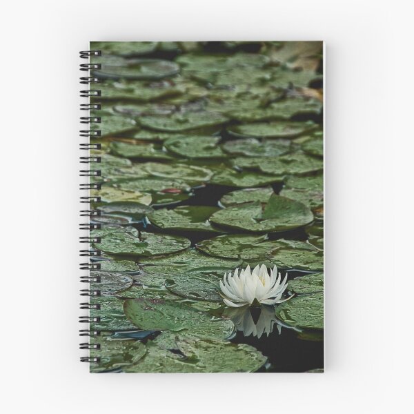 Item preview, Wallflower designed and sold by Dianne English.