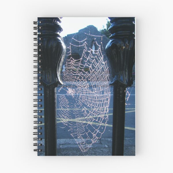 Item preview, View from a Web designed and sold by Connie  Danaher.