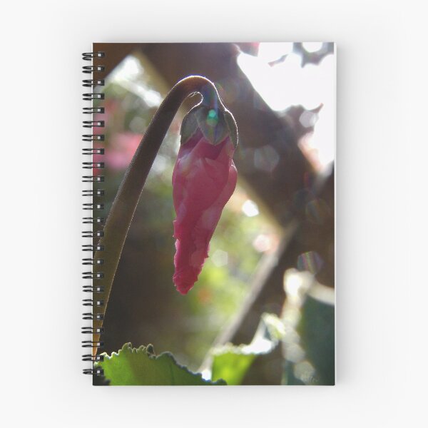 Artikelvorschau, Cyclamen Bokeh entworfen und verkauft von binjy.