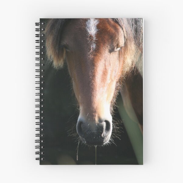 Artikelvorschau, marsh pony entworfen und verkauft von JEMMAJIMJAM.