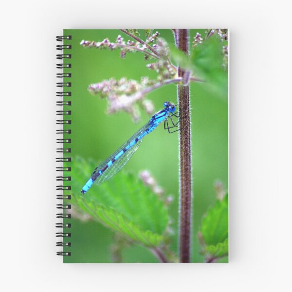 Item preview, Beautiful Blue Damselfly designed and sold by jennimarshall.