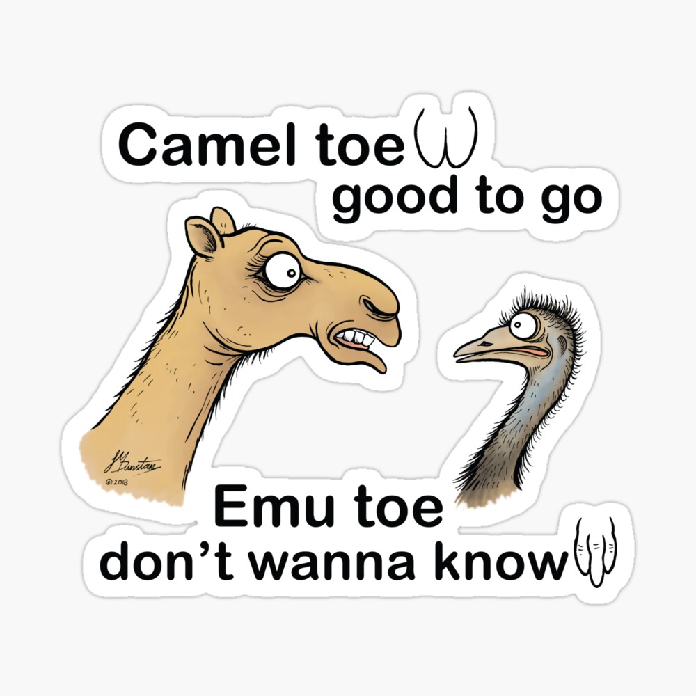 Camel toe cartoon