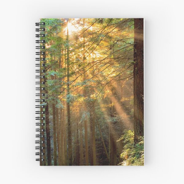 Item preview, Sun Ray through Redwoods designed and sold by Soumya Mitra.