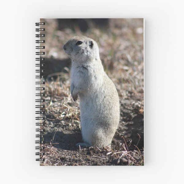 Item preview, Richardson's Ground Squirrel designed and sold by Alyce Taylor.